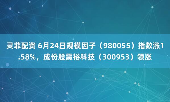 灵菲配资 6月24日规模因子（980055）指数涨1.58%，成份股震裕科技（300953）领涨